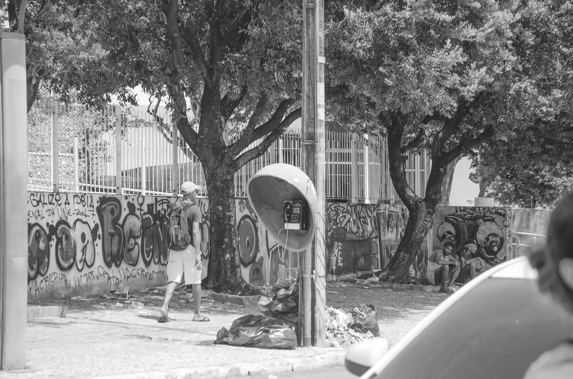 Fotografia em tons de cinza de um muro todo pixado atrás de árvores em uma rua no Centro de Fortaleza