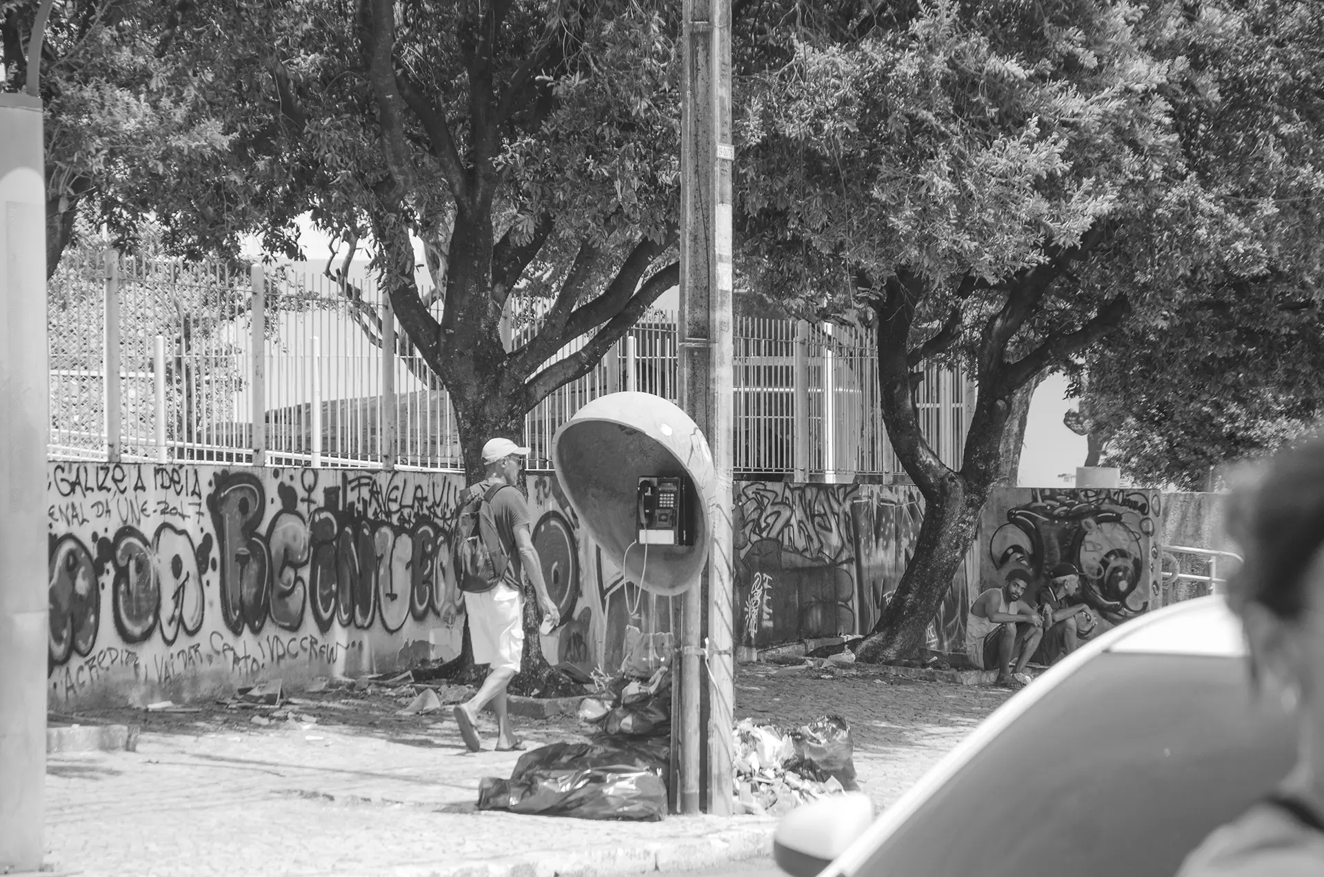 Fotografia em tons de cinza de um muro todo pixado atrás de árvores em uma rua no Centro de Fortaleza